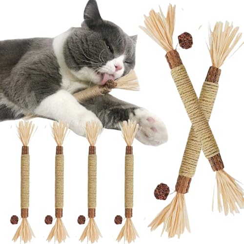 Katzenminze Sticks,6pcs Matatabi Katzensticks,Katzensticks Zahnreinigung,Kaustäbchen für Katzen,Katzenspielzeug für Zahnreinigung Katze,Katzen Spielzeug,Katzen Zahnpflege,für Innenbereich von Katzen Katzenminze Sticks,6pcs Matatabi Katzensticks,Katzensticks Zahnreinigung,Kaustäbchen für Katzen,Katzenspielzeug für Zahnreinigung Katze,Katzen Spielzeug,Katzen Zahnpflege,für Innenbereich von Katzen von Cutiolly