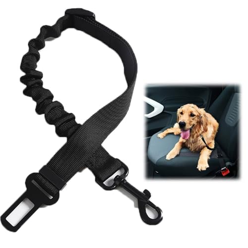 Hunde Sicherheitsgurt für Auto,Anschnallgurt Hund Auto,Anschnallgurt Hund,Hunde Sicherheitsgurt,Hundegurt fürs Auto,Verstellbarer Hundegurt aus Elastischem Nylon für Hunde und Katzen,Schwarz Hunde Sicherheitsgurt für Auto,Anschnallgurt Hund Auto,Anschnallgurt Hund,Hunde Sicherheitsgurt,Hundegurt fürs Auto,Verstellbarer Hundegurt aus Elastischem Nylon für Hunde und Katzen,Schwarz von Cutiolly