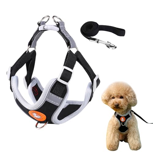 Hundegeschirr für Hunde,Hundegeschirr,Welpengeschirr Kleine Hunde,Hundegeschirr Welpen,Hundegeschirr Kleine Hunde,Welpengeschirr,Welpen Geschirr Hund,Hundegeschirr Reflektierend,XS,Schwarz Hundegeschirr für Hunde,Hundegeschirr,Welpengeschirr Kleine Hunde,Hundegeschirr Welpen,Hundegeschirr Kleine Hunde,Welpengeschirr,Welpen Geschirr Hund,Hundegeschirr Reflektierend,XS,Schwarz von Cutiolly