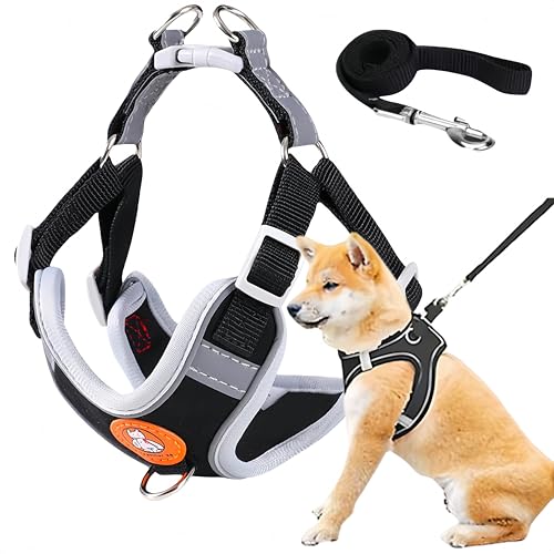 Hundegeschirr Kleine Hunde,Hundegeschirr für Hunde,Hundegeschirr Hunde mit Leine,Welpengeschirr Kleine Hunde,Welpen Geschirr,Anti Zug Reflektierend Atmungsaktiv Brustgeschirr,Katzengeschirr,XS von Cutiolly