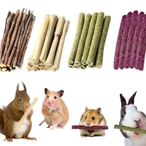 Kleintiere Kauspielzeug,Timothy Heu Sticks,Kaninchen Kauspielzeug,Apfel Kaustangen,Zähneknirschspielzeug,Timothy Heu Sticks für Kaninchen,Meerschweinchen,Hamster,Chinchilla,Häschen Leckerli,50pcs Kleintiere Kauspielzeug,Timothy Heu Sticks,Kaninchen Kauspielzeug,Apfel Kaustangen,Zähneknirschspielzeug,Timothy Heu Sticks für Kaninchen,Meerschweinchen,Hamster,Chinchilla,Häschen Leckerli,50pcs von Cutiolly