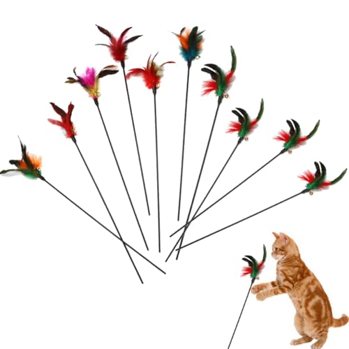 Katzenspielzeug Spielzeug mit Federn,10pc Katzenspielzeug Feder,Cat Feather Toys,Federstab,Interaktives Katzenspielzeug Feder,Katzenangel Ersatzfedern Anhänger Feder Glocke,Federn Katzen Spielzeug Katzenspielzeug Spielzeug mit Federn,10pc Katzenspielzeug Feder,Cat Feather Toys,Federstab,Interaktives Katzenspielzeug Feder,Katzenangel Ersatzfedern Anhänger Feder Glocke,Federn Katzen Spielzeug von Cutiolly