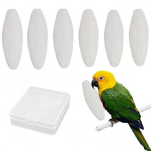 Cutiolly Sepiaschalen,6 PCS Sepiaschalen für Schildkröten,Sepiaschalen für Vögel,Kauspielzeug Papageien,Kauspielzeug Vögel,Tintenfische Sepia Knochen für Papageien Vögel,8-10cm,Mit Kunststoffbox von Cutiolly