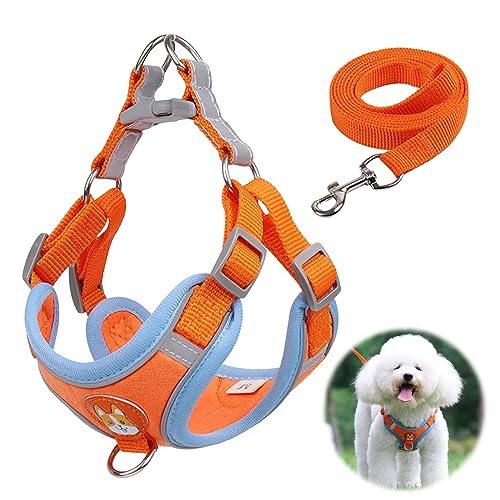 Hundegeschirr für Hunde,Hundegeschirr Kleine Hunde,Verstellbare Reflektierende Welpengeschirr,Welpengeschirr Kleine Hunde,Hundegeschirr Welpen,Brustgeschirr Hund,Hundegeschirr,XS Hundegeschirr für Hunde,Hundegeschirr Kleine Hunde,Verstellbare Reflektierende Welpengeschirr,Welpengeschirr Kleine Hunde,Hundegeschirr Welpen,Brustgeschirr Hund,Hundegeschirr,XS von Cutiolly