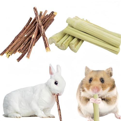 Kaninchen Kauspielzeug,Hamster Kauspielzeug,Kaninchen Apfelstäbchen Süß Bambus,Natürlich Kleintier Essbar Kauspielzeug,für Hamster Chinchilla Papageien Meerschweinchen von Cutiolly