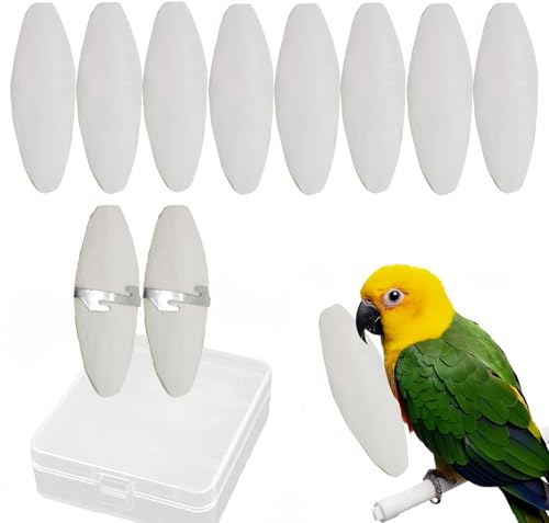 Sepiaschalen,Sepiaschalen Vögel,Sepiaschalens Papageien Kauspielzeug,Sepia Knochen,Vögel Kauen Spielzeug,8-10cm Papageien Kauspielzeug,für Schildkröten Vögels Schnecken (10pcs,8-10cm) von Cutiolly