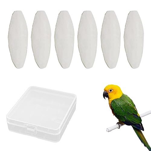 Sepiaschalen,10 PCS Sepiaschalen für Schildkröten Sepiaschalen,10 PCS Sepiaschalen für Schildkröten von Cutiolly
