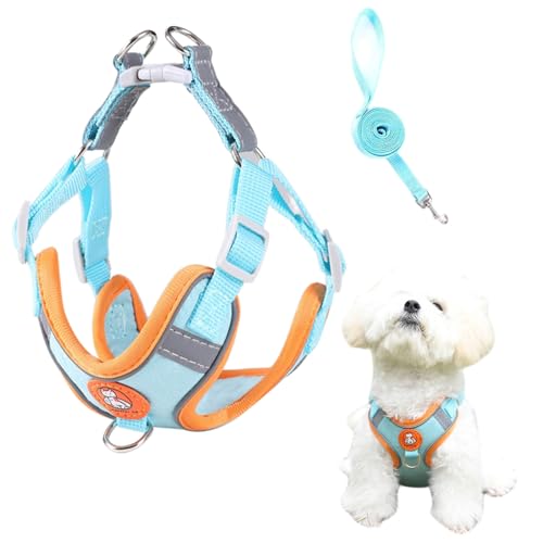 Hundegeschirr für Kleine Hunde und Welpen - Reflektierend, XS, Blau Hundegeschirr für Kleine Hunde und Welpen - Reflektierend, XS, Blau von Cutiolly