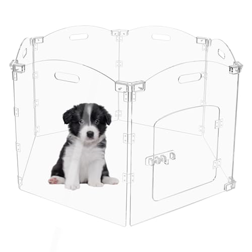 Cutora Acryl-Hunde-Laufgitter für Haus, 3 Paneele, 152,4 cm B x 61 cm H, faltbares Hundegitter für den Innenbereich, mit Griffen, freistehender Haustierzaun, transparenter Hundegehege für kleine Hunde Cutora Acryl-Hunde-Laufgitter für Haus, 3 Paneele, 152,4 cm B x 61 cm H, faltbares Hundegitter für den Innenbereich, mit Griffen, freistehender Haustierzaun, transparenter Hundegehege für kleine Hunde von Cutora