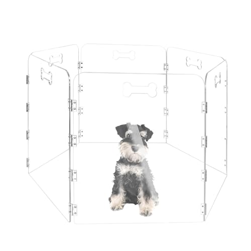 Cutora Acryl-Hunde-Laufgitter für Haus, 6 Paneele, 152,4 cm B x 61 cm H, faltbares, transparentes Hundegitter für den Innenbereich, mit Griffen, freistehender Haustierzaun für Türen, Hundegehege für Cutora Acryl-Hunde-Laufgitter für Haus, 6 Paneele, 152,4 cm B x 61 cm H, faltbares, transparentes Hundegitter für den Innenbereich, mit Griffen, freistehender Haustierzaun für Türen, Hundegehege für von Cutora