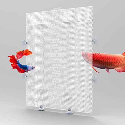 Cuyacili 2 Stück Aquarium Trennwand für Aquarien Kunststoffgitter Platte für Aquarium Unten Box Aquariumteiler Transparenter Kunststoff Aquariumteiler Mit Saugnäpfen Und Zubehör 26x33cm von Cuyacili