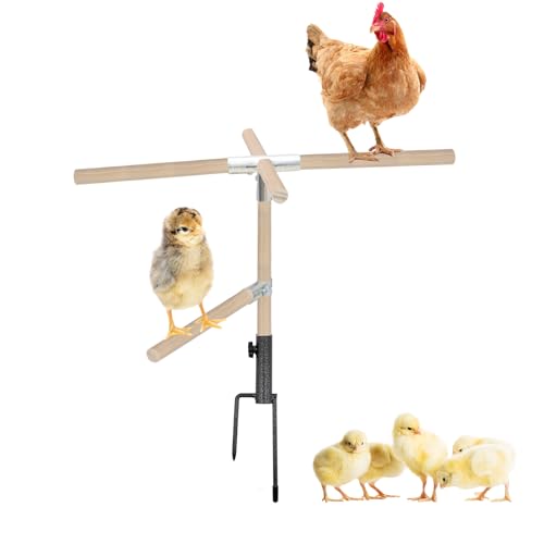 Hühnerspielzeug Hölzerne Hühnerstange Hühnerstall Zubehör mit Erdungsstecker aus Metall Chicken Perch Toy für Hühner, Hahn, große Papageien Hühnerspielzeug Hölzerne Hühnerstange Hühnerstall Zubehör mit Erdungsstecker aus Metall Chicken Perch Toy für Hühner, Hahn, große Papageien von Cuyacili