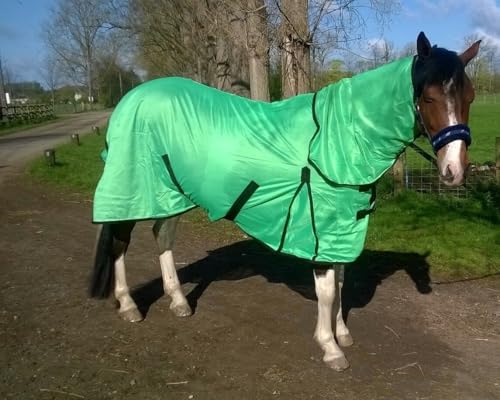 Cwell Equine Bug Away Fliegendecke für Pferde, mit Nackenschutz, Papageiengrün, 1,52 m von Cwell Equine