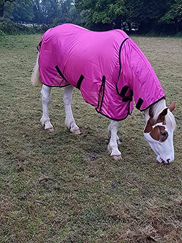 Cwell Equine Bug Away Pferde-Fliegendecke mit befestigter Halsabdeckung, 1,52 m, Pink Cwell Equine Bug Away Pferde-Fliegendecke mit befestigter Halsabdeckung, 1,52 m, Pink von Cwell Equine