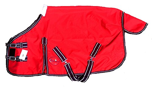 Cwell Equine Leichte Mini-Pferdedecke/Pony-Teppich/Fohlenteppich, Keine Füllung, Verschiedene Größen und Farben, 1,2 m, 7,6 cm, Rot Cwell Equine Leichte Mini-Pferdedecke/Pony-Teppich/Fohlenteppich, Keine Füllung, Verschiedene Größen und Farben, 1,2 m, 7,6 cm, Rot von Cwell Equine
