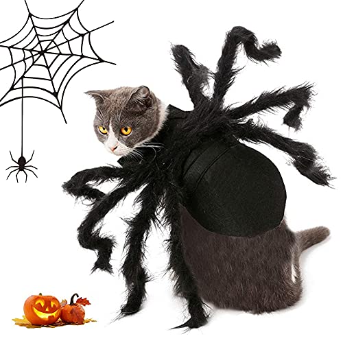 CXING Haustier Hund Spinne Cosplay Kostüm, Hundekostüm Halloween, Spinne Fledermaus Rollenspiele Anzieh Kleidung für Katze Hund, Party (M) von Cxing