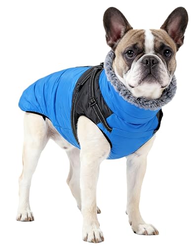 Hunde-Winterweste für kleine, mittelgroße und große Hunde mit Lesh-Ring, Hundemantel mit verstellbarem, reflektierendem Geschirr von CyberLiving