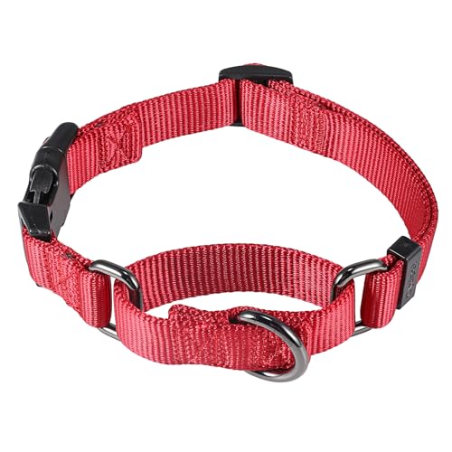 Cyclpet Fortschrittliches Martingale-Hundehalsband aus Nylon mit Schnellverschluss-Schnalle, verstellbar, Komfort, für den täglichen Gebrauch, Chili-Pfeffer, Größe S von Cyclpet