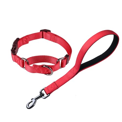 Cyclpet Kurzleine aus Nylon, 30,5 cm, mit Martingale-Hundehalsband (mit leicht an- und auszuziehen), Kombination für große Hunderassen, für den täglichen Gebrauch, Chili-Pfeffer, 30,5 cm Leine und von Cyclpet