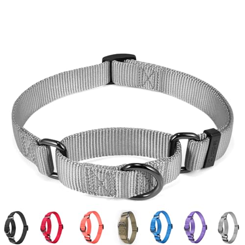 Cyclpet Martingale-Hundehalsband, hochwertiges Nylon, verstellbar, robust, bequem und seidig, für große Hunde, Spaziergänge, Training usw. (Ultimate Grey, L) von Cyclpet