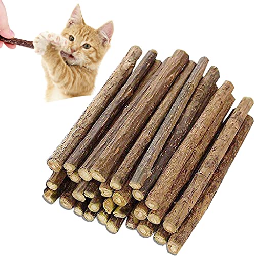 Cymeosh 30 Stück Katzenminze Sticks, Matatabi Katzen Kauhölzer, Matatabi-Kausticks Katzenspielzeug, Katzenminze Sticks zum Schleifen von Zähnen, Natürliche Matatabi Zahnpflege von Cymeosh