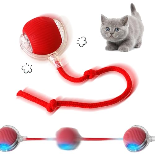 Cymwer Chewie Rolling Ball, Interaktives Katzenspielzeug, Hundespielzeug Ball mit Schnur,Interaktives Hunde Ball Spielzeug mit USB Aufladbar, Automatisch Rollender Ball für Katzen und Hunde Cymwer Chewie Rolling Ball, Interaktives Katzenspielzeug, Hundespielzeug Ball mit Schnur,Interaktives Hunde Ball Spielzeug mit USB Aufladbar, Automatisch Rollender Ball für Katzen und Hunde von Cymwer