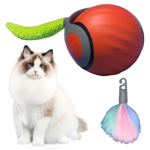 Cymwer Interaktives Katzenspielzeug, Speedy Tail 2.0, Katzenspielzeug Selbstbeschäftigung mit Ersatzschwanz, Magic Ball Hund, Automatisches Katzenspielzeug, lindert Ängste von Cymwer