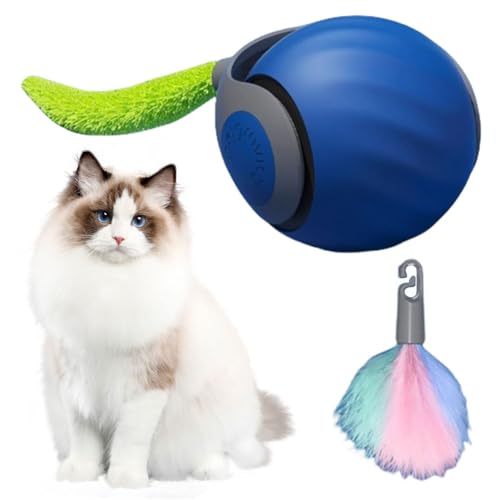 Cymwer Interaktives Katzenspielzeug, Speedy Tail 2.0, Katzenspielzeug Selbstbeschäftigung mit Ersatzschwanz, Magic Ball Hund, Automatisches Katzenspielzeug, lindert Ängste Cymwer Interaktives Katzenspielzeug, Speedy Tail 2.0, Katzenspielzeug Selbstbeschäftigung mit Ersatzschwanz, Magic Ball Hund, Automatisches Katzenspielzeug, lindert Ängste von Cymwer