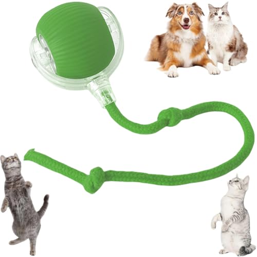 Cymwer Interaktives Katzenspielzeug Ball - Elektrisch, Automatisch Rollend, Intelligenz Spielzeug für Katzen und Hunde Cymwer Interaktives Katzenspielzeug Ball - Elektrisch, Automatisch Rollend, Intelligenz Spielzeug für Katzen und Hunde von Cymwer