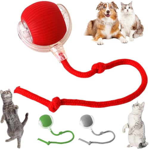 Cymwer Interaktives Katzenspielzeug Ball - Elektrisch, Automatisch Rollend, Intelligenz Spielzeug für Katzen und Hunde Cymwer Interaktives Katzenspielzeug Ball - Elektrisch, Automatisch Rollend, Intelligenz Spielzeug für Katzen und Hunde von Cymwer