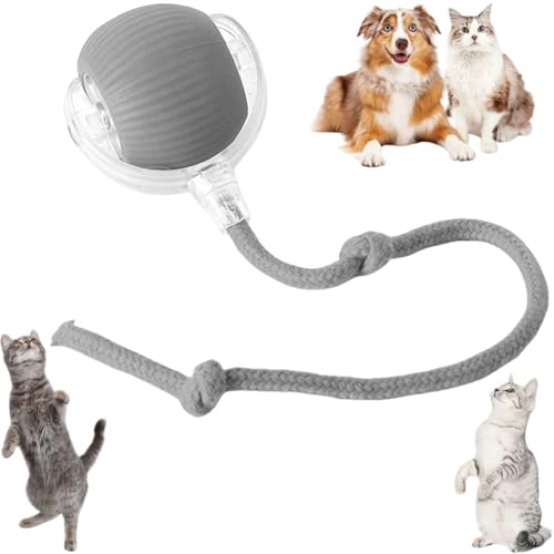 Cymwer Interaktives Katzenspielzeug Ball - Elektrisch, Automatisch Rollend, Intelligenz Spielzeug für Katzen und Hunde Cymwer Interaktives Katzenspielzeug Ball - Elektrisch, Automatisch Rollend, Intelligenz Spielzeug für Katzen und Hunde von Cymwer