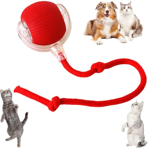 Cymwer Interaktives Katzenspielzeug Katzenball, Katzen Ball Elektrisch Katzenspielzeug, Automatisch Rollender Intelligenz Katzenspielzeug Ball für Katzen Hund Cymwer Interaktives Katzenspielzeug Katzenball, Katzen Ball Elektrisch Katzenspielzeug, Automatisch Rollender Intelligenz Katzenspielzeug Ball für Katzen Hund von Cymwer