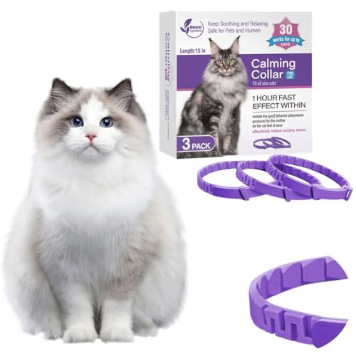 CymwerBeruhigungshalsband für Hunde und Katzen, Angst-Halsband mit Einstellbarer Größe, Beruhigungsmittel für Katzen und Hunde, Stressabbau, Beruhigende Wirkung für Haustiere CymwerBeruhigungshalsband für Hunde und Katzen, Angst-Halsband mit Einstellbarer Größe, Beruhigungsmittel für Katzen und Hunde, Stressabbau, Beruhigende Wirkung für Haustiere von Cymwer