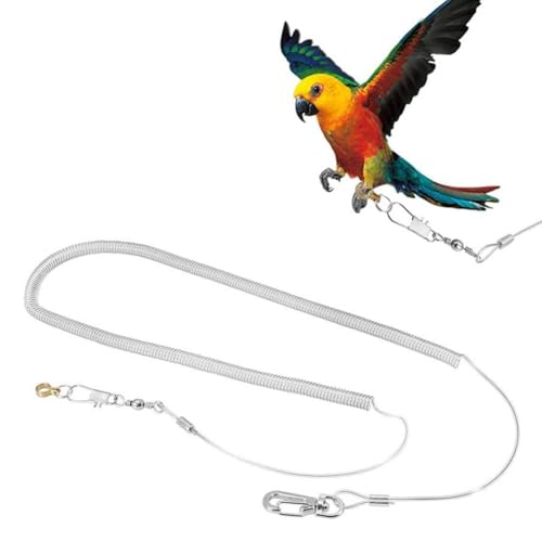 Cyrank 19.ft Vogelleine, 4.5mm Fußringe Elastische Vogeltrainingsleine Sittich Fluggeschirr Papageienleine für Papageien Tauben Wellensittich Lovebird Nymphensittich Mynah Outdoor-Trainingsspielzeug Cyrank 19.ft Vogelleine, 4.5mm Fußringe Elastische Vogeltrainingsleine Sittich Fluggeschirr Papageienleine für Papageien Tauben Wellensittich Lovebird Nymphensittich Mynah Outdoor-Trainingsspielzeug von Cyrank