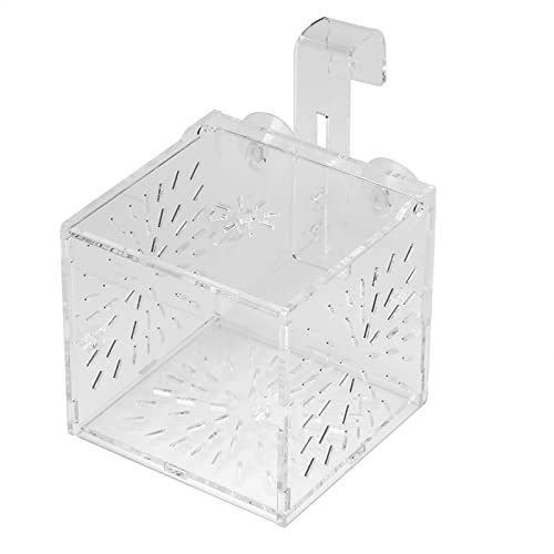 Fisch-Trennbox, Transparenter Acryl-Aquarium-Zucht-Isolationsbox-Aquarium-Brüterei-Inkubator-Halter(10CM*10CM*10CM) von Cyrank