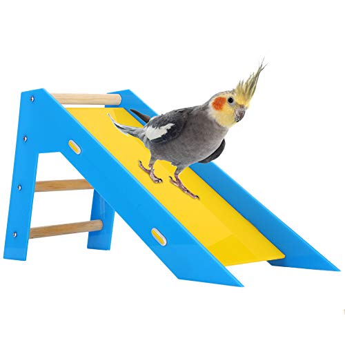 Papageien Klettern Rutschleitern, Puzzle, Interaktives Geschicklichkeitstraining, Spielzeugzubehör, Holzkletterleiter, Acrylrutsche Papageien Klettern Rutschleitern, Puzzle, Interaktives Geschicklichkeitstraining, Spielzeugzubehör, Holzkletterleiter, Acrylrutsche von Cyrank