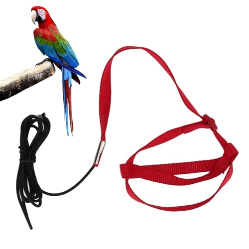 Vogelgeschirr, 134CM Bissfest einstellbar Haustier Papagei Leine Flying Training Seil Outdoor-Aktivitäten Ausbildung für Papagei Wellensittich Lovebird Nymphensittich von Cyrank