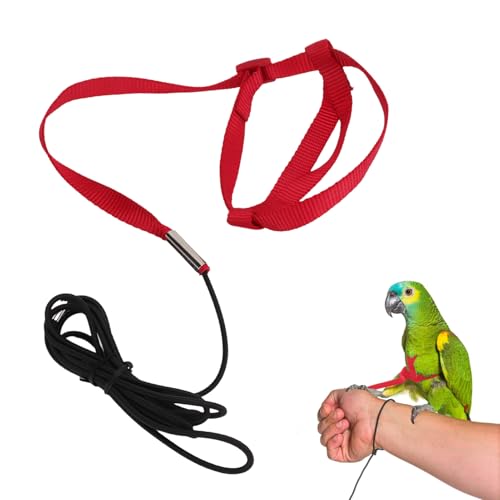 Vogelgeschirr, verstellbares Haustier-Papagei-Vogel-Fluggeschirr-Leine Outdoor-Aktivitäten Training für Sittiche, Nymphensittiche, Alexandriner, Scharlachrot, Keck(L) von Cyrank