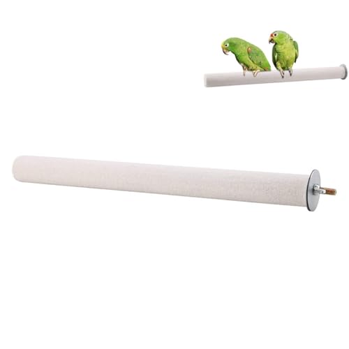 Weiße Griffstange Für Vogelkäfige, Bimssteinstange Für Vögel, Holzständer, Spielzeugzweig, um Nägel Und Schnäbel in Top-Zustand Papageientarsch Stand Toy zu Halten(2.5 * 35cm) von Cyrank