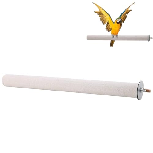 Weiße Griffstange Für Vogelkäfige, Bimssteinstange Für Vögel, Holzständer, Spielzeugzweig, um Nägel Und Schnäbel in Top-Zustand zu Halten, Vogelbarsch, Sittichtbarsche (2.5 * 30cm) von Cyrank
