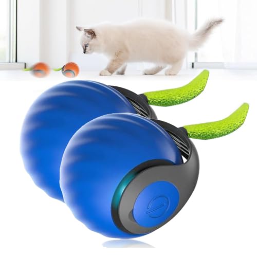 Chewie Rolling Ball, Katzenspielzeug Elektrisch, Interaktives Katzenspielzeug, Hundespielzeug Intelligenter Automatischer Rollball für Katzen Hunde (Blau*2) von Czerio
