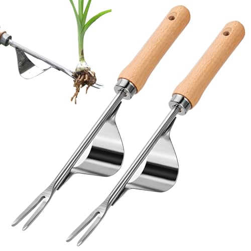 Czerio Unkrautstecher, 2025 Neue Gartengeräte Wurzeljäter mit Holzgriff, Manuelles Unkrautjätgerät aus Edelstahl, Gartengeräte für die Gartenarbeit gegen Moos und Unkraut (2 Stück) von Czerio