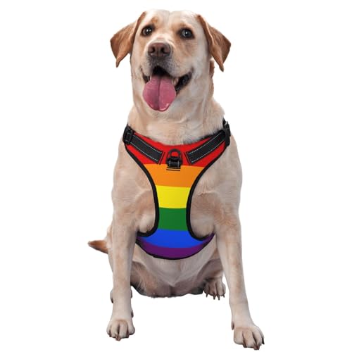 Atmungsaktives und verstellbares Hundegeschirr mit Leine, buntes einfaches Regenbogen-Hundegeschirr für große, mittelgroße und kleine Hunde Atmungsaktives und verstellbares Hundegeschirr mit Leine, buntes einfaches Regenbogen-Hundegeschirr für große, mittelgroße und kleine Hunde von Czzyh