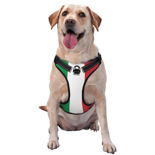 Atmungsaktives und verstellbares Hundegeschirr mit Leine, italienische Flagge, Hundegeschirr für große, mittelgroße und kleine Hunde von Czzyh