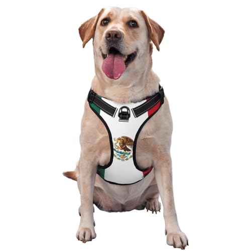 Atmungsaktives und verstellbares Hundegeschirr mit Leine, mexikanische Flagge, Hundegeschirr für große, mittelgroße und kleine Hunde von Czzyh