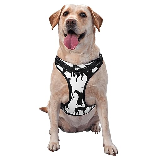 Hundegeschirr mit Leine, atmungsaktiv, verstellbar, dünn, für große, mittelgroße und kleine Hunde, Schwarz von Czzyh