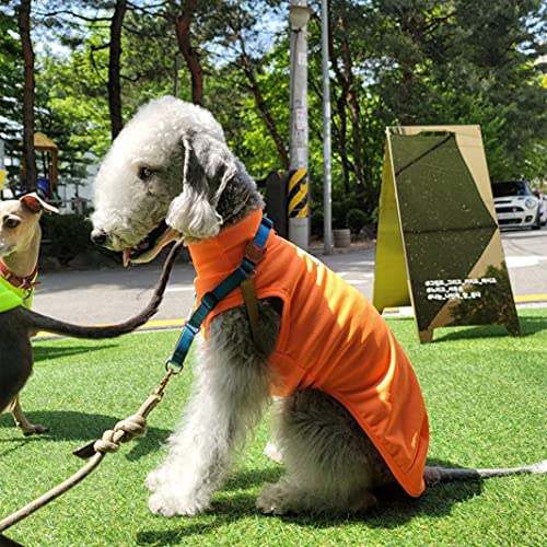 Bedlington Terrier Clothes 2XL Cool Tank Top Whippet Kleidung Italienischer Windhund Kleidung Doggystar (Orange, XX-Large) von D DOGGY STAR