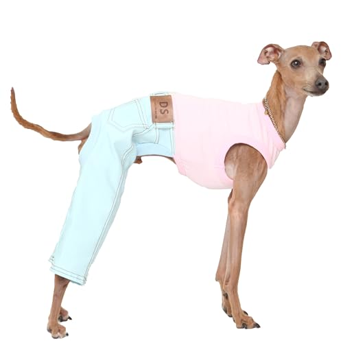 D DOGGY STAR Ärmellose Jeans, Einteiler, Whippet für Hundemantel, Größe L, Himmelblau von D DOGGY STAR