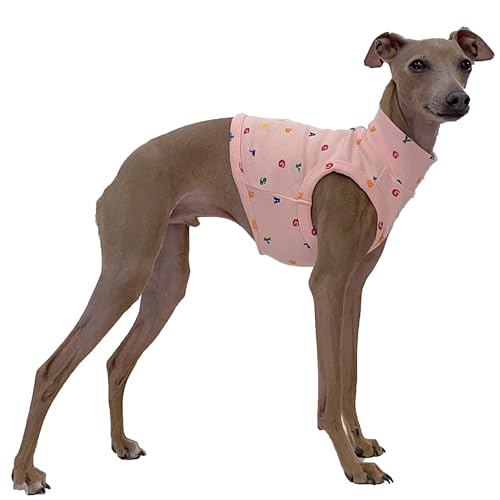 D DOGGY STAR Croptop für italienische Windhunde, dehnbar, Whippet für Hunde, Größe XXL, Alpbt Croptop, Rosa von D DOGGY STAR