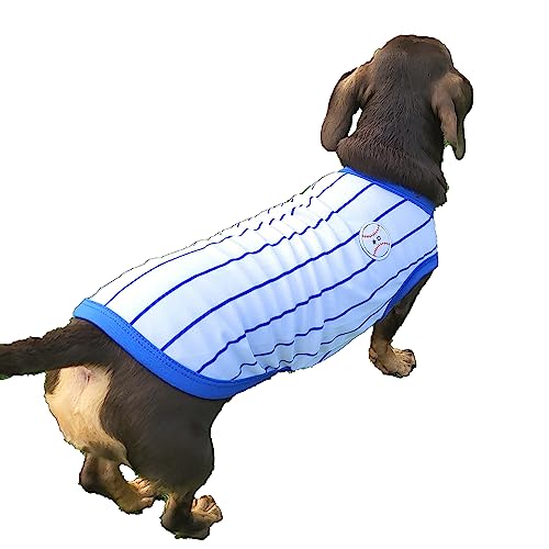 D DOGGY STAR Dackel-Kleidung für Hunde, Baseball-Mini- und Erwachsenen-T-Shirts (Größe XL, Baseballblau) von D DOGGY STAR